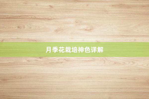 月季花栽培神色详解