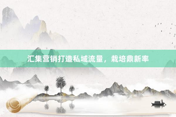汇集营销打造私域流量，栽培鼎新率